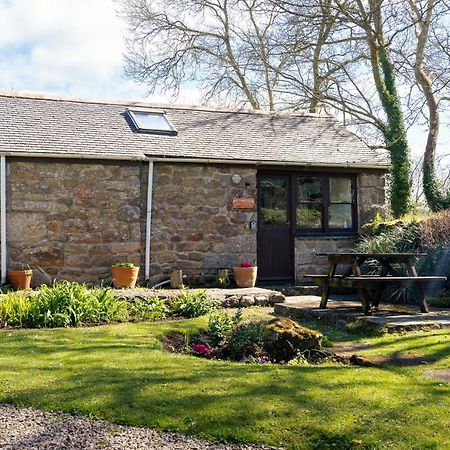 Cosy Cottage In The Beautiful Lamorna Valley - Walk To The Pub & Sea Paul Exterior photo